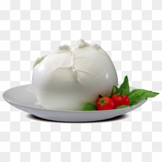 Our Customers Buys Directly From The Italian Producers - Mozzarella Bufala, HD Png Download