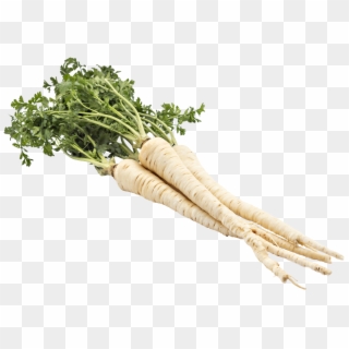 Daikon, HD Png Download