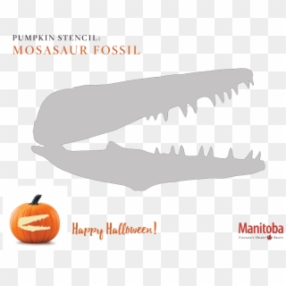 Mosasaur Fossil Pumpkin Carving Stencil - Jack-o'-lantern, HD Png Download