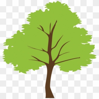 This Product Is Handmade And Uses Renewable Materials - Tree Vector Png, Transparent Png