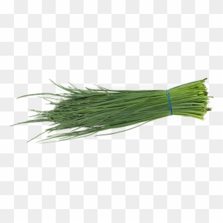 Chives - Sweet Grass, HD Png Download