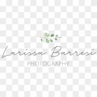 Larissa Barresi Photography - Calligraphy, HD Png Download