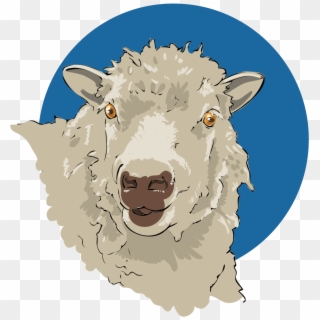 Sheep Closeup - Sheep, HD Png Download