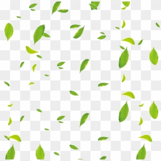Available In Png Format - Floating Leaves Png, Transparent Png