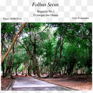 Folhas Secas Sheet Music Composed By Caio Fernandes - Parque Das Dunas Natal, HD Png Download