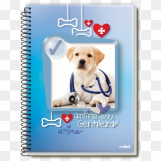 Mimo Azul - Pet Medical Care, HD Png Download