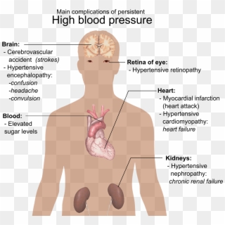 Main Complications Of Persistent High Blood Pressure - High Blood Pressure Complications, HD Png Download