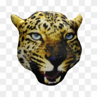 Almofada Cabeça Leopardo - African Leopard, HD Png Download