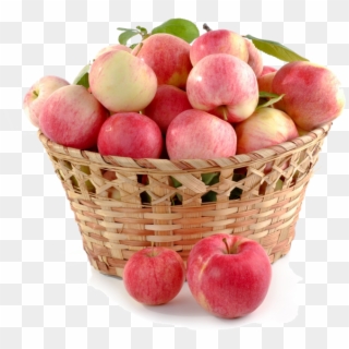 High Quality - Fruit Is Never Found Singly Answer, HD Png Download