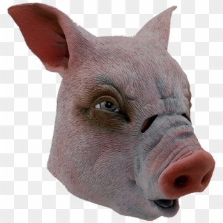 Mask Pig Budget - Domestic Pig, HD Png Download
