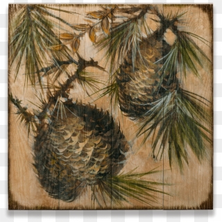 Three Pine Cones On Branches - White Pine, HD Png Download