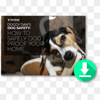 ↓download My Free Guide Here↓ - Bones Dogs Can Eat, HD Png Download