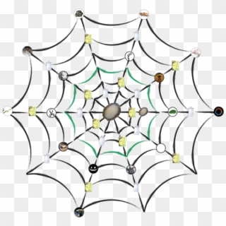 File - Spiderweb - Dragon - Spider Web Type Png, Transparent Png