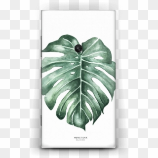 Monstera Deliciosa - Swiss Cheese Plant, HD Png Download