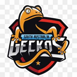 2019 Geckos Staff Announcement, HD Png Download