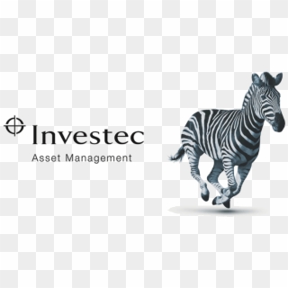Investec Asset Management Is Well Positioned To Take - Investec Bank, HD Png Download