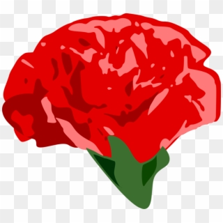 Carnation Garden Roses Drawing Computer Icons - Rose, HD Png Download