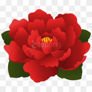 Free Png Download Red Flower Transparent Png Images - Japanese Camellia, Png Download