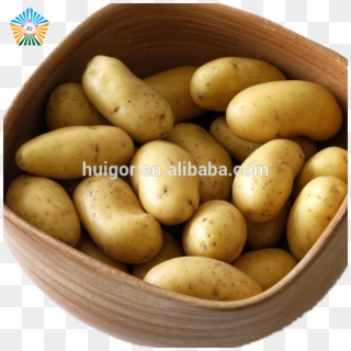 China Potato Products Manufacturer Of China, China - Russet Burbank Potato, HD Png Download