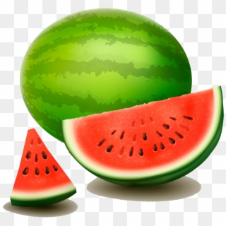 Svg Download Berry Drawing Water Melon - Watermelon, HD Png Download