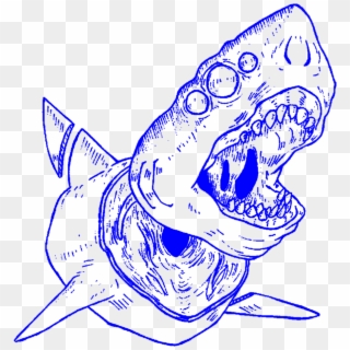 #aesthetic #art #lineart #outline #shark #sharks #decapitated - Great White Shark, HD Png Download