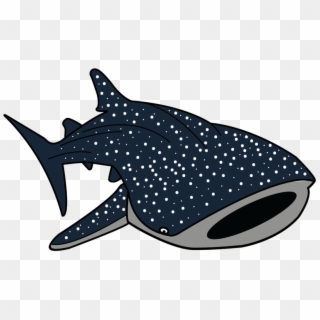 Black And White Download Cartoon Pictures Cartoonwjd - Whale Shark Clipart, HD Png Download