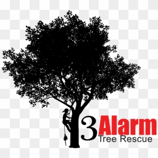 3alarm Tree Services - Tree, HD Png Download