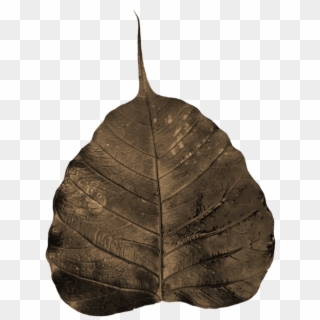 Religiosa,sacred - Wilted Leaf Png, Transparent Png