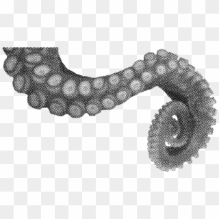 Octopus Arm Png, Transparent Png