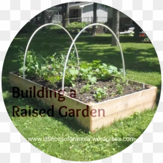 Building Raised Garden Beds Lovely Building A Raised - Grass, HD Png Download