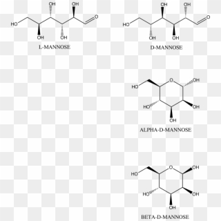 Images/man - Mannose Carbohydrate, HD Png Download