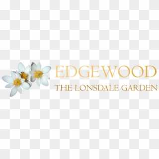 Edgewood Gardens, HD Png Download
