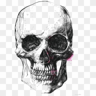 Archaeology Drawing Female Skull - Skull, HD Png Download