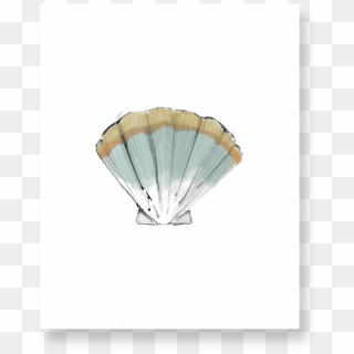 Transparent Png