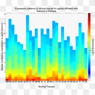 Expression Patterns In Normal Tissues For Genes Affiliated - Graphic Design, HD Png Download