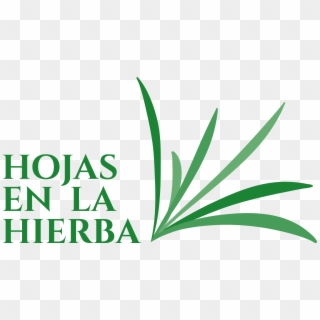 Hojas En La Hierba Es El Nombre De Una Colección De, HD Png Download