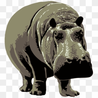 Gray Clipart Hippo - Visit The Philadelphia Zoo, HD Png Download