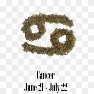 Stoner Cancer Monthly Horoscope - Moss, HD Png Download