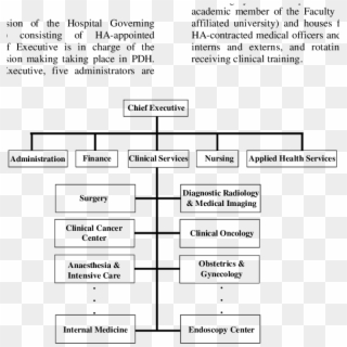 Organizational Chart Of Princess Diana Hospital - Imaging Center Organizational Chart, HD Png Download
