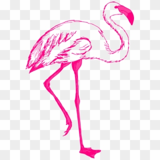 Pink Bird Wings Flamingo Long Neck Legs Feathers - Public Domain Flamingo Clipart Free, HD Png Download