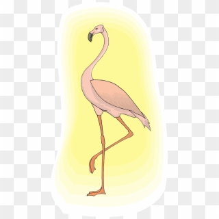 Flamingo Light Pink - Bird, HD Png Download