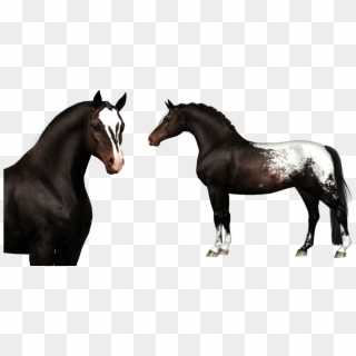 0 1512437724430 Bling It On Profile - Stallion, HD Png Download
