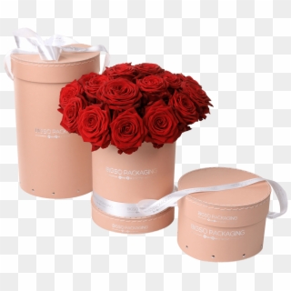 Round Sewed Flower Box With Lid - Garden Roses, HD Png Download