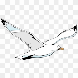 Free Vector Bird - Flying Seagull, HD Png Download