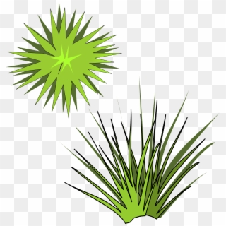 This Free Icons Png Design Of Plant-05 - Spiky Plant Clipart, Transparent Png