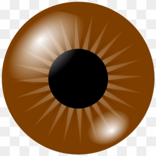 Brown Eye Clip Art At Vector - Brown Eyes Clipart, HD Png Download
