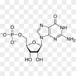 Gmp Chemical Structure - Pyridoxamine Phosphate, HD Png Download