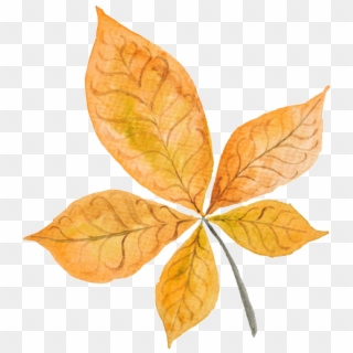 Leaf Vector Autumn Png, Transparent Png