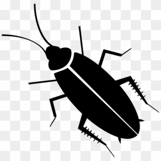 Cockroaches - Cockroach Vector Png, Transparent Png