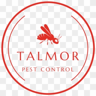 Talmor Pest Control - Alcoholics Anonymous Symbol, HD Png Download